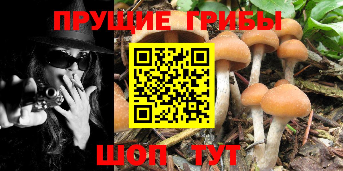 Галлюциногенные грибы MAGIC MUSHROOMS Балахна