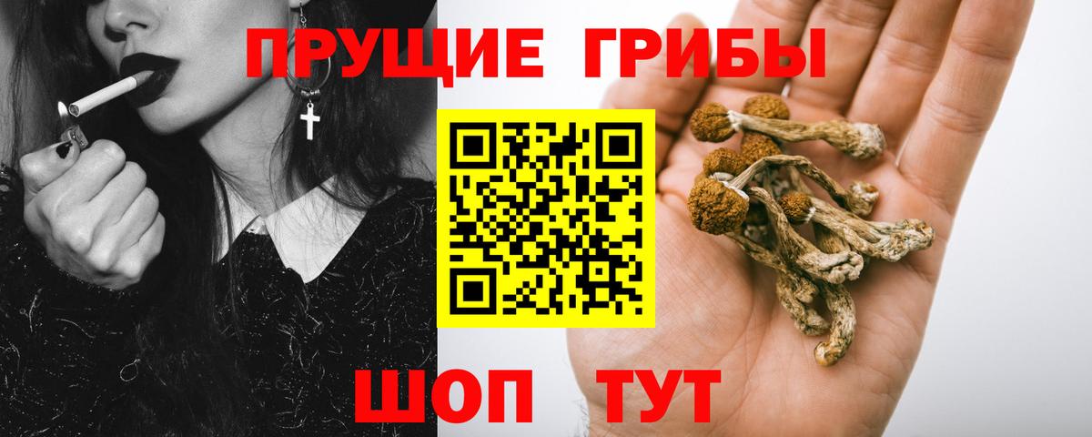 Балахна  Галлюциногенные грибы MAGIC MUSHROOMS  цена   Вход с VPN 